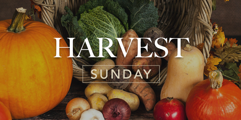 Harvest Sunday